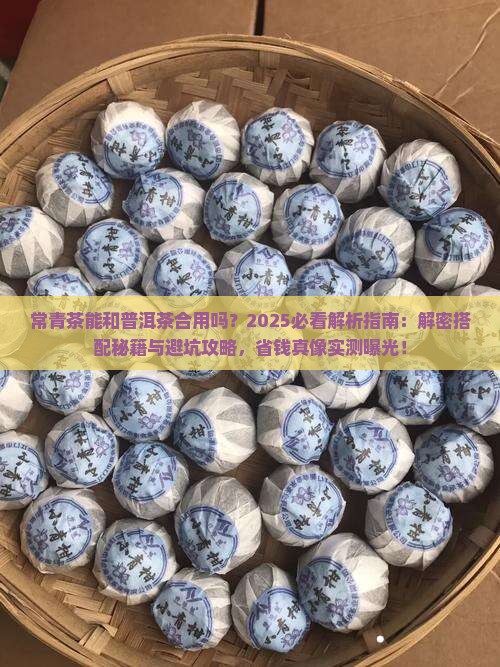 常青茶能和普洱茶合用吗