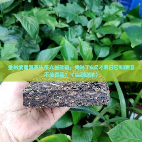 金易武普洱茶生茶六星珍藏