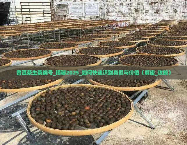 普洱茶生茶编号