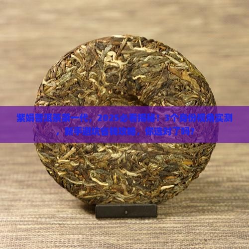 紫娟普洱茶第一代