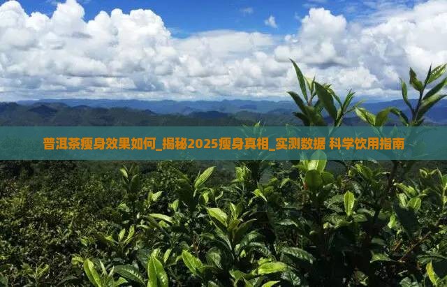 普洱茶瘦身效果如何