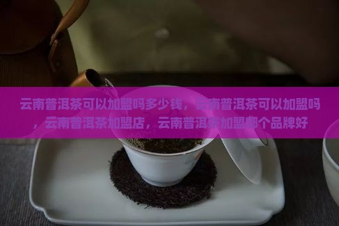 云南普洱茶可以加盟吗