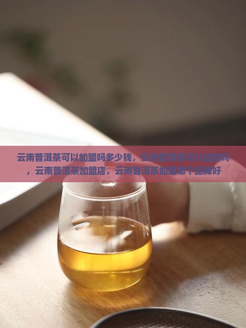 云南普洱茶可以加盟吗