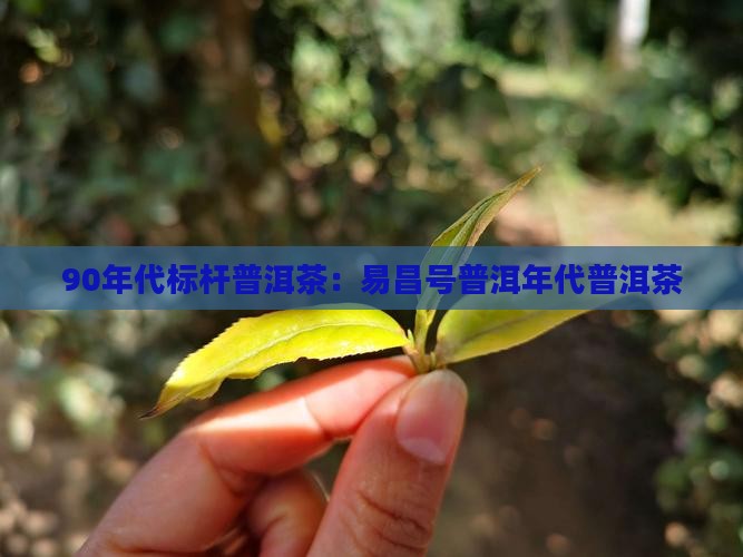 90年代的易昌号普洱茶