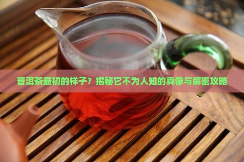 普洱茶最初的样子