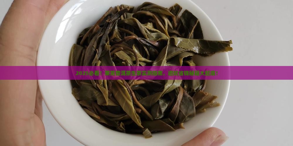 莱芜普洱茶生茶
