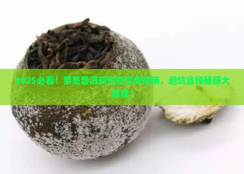 莱芜普洱茶生茶