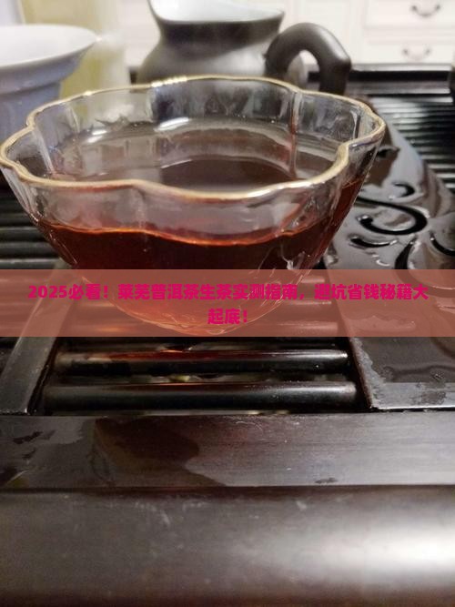 莱芜普洱茶生茶