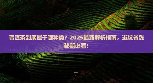 普洱茶属于哪种类