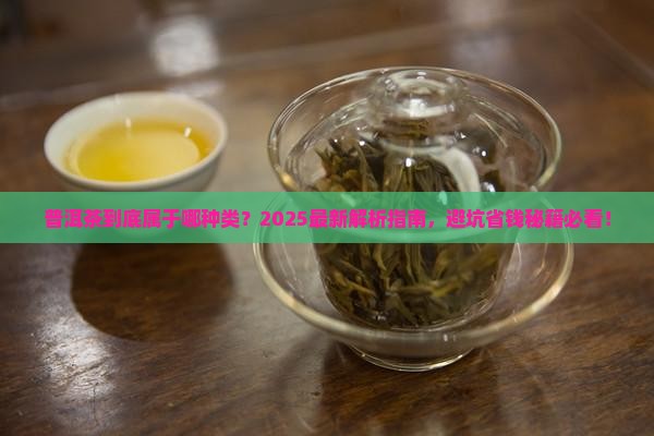 普洱茶属于哪种类