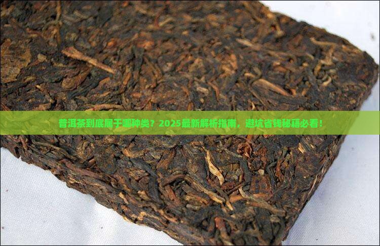 普洱茶属于哪种类