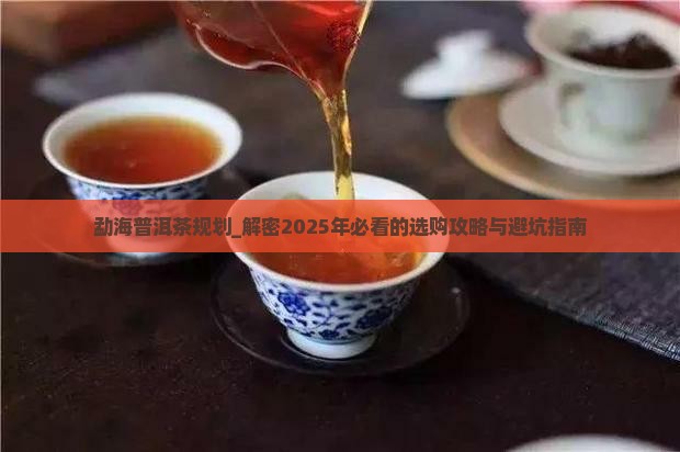 勐海普洱茶规划