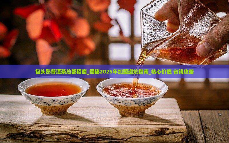 包头熟普洱茶总部招商