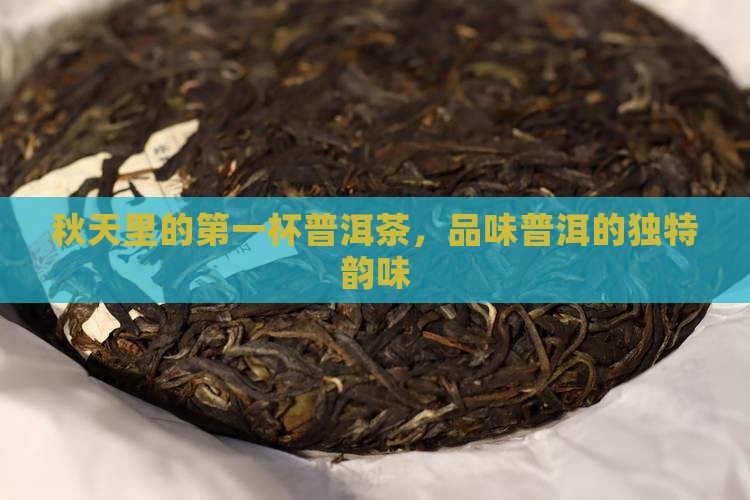 秋天里的第一杯普洱茶