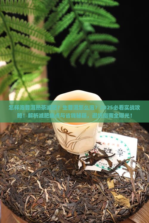 怎样泡普洱熟茶减肥生普洱怎么泡