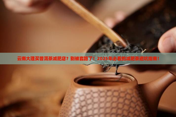 云南大理买普洱茶减肥店