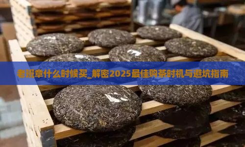 老班章什么时候买