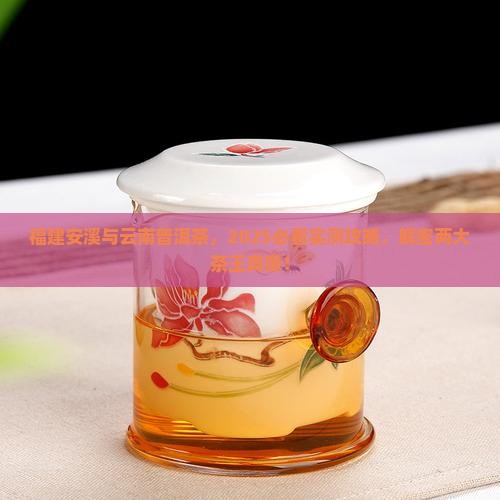 福建安溪云南普洱茶