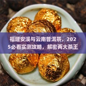 福建安溪云南普洱茶