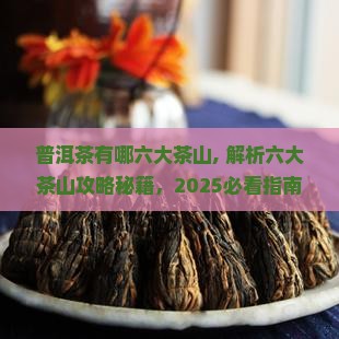 普洱茶有哪六大茶山
