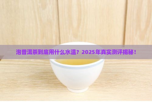 适合泡普洱茶的水温