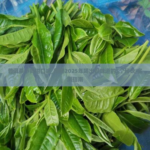 普洱茶小青柑口感