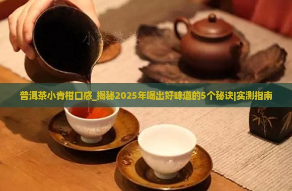 普洱茶小青柑口感