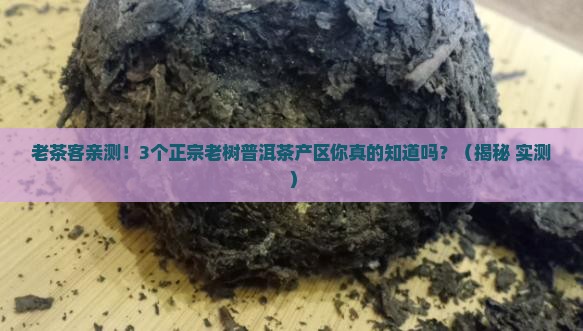 正宗老树普洱茶产区在哪里