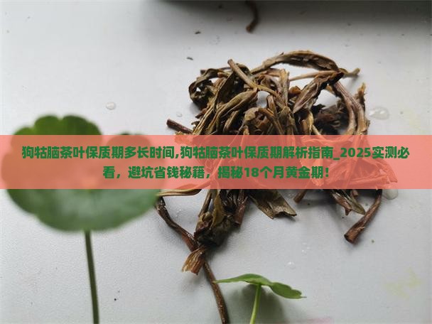 狗牯脑茶叶保质期多长时间