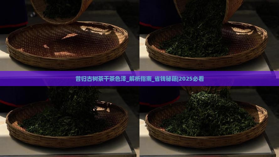 昔归古树茶干茶色泽