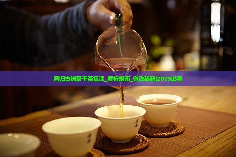 昔归古树茶干茶色泽