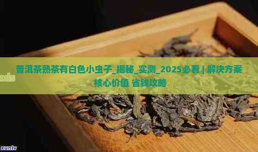 普洱茶熟茶有白色小虫子