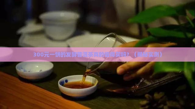 发酵的上等普洱茶价格多少