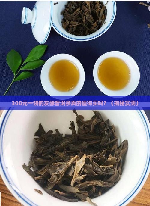 发酵的上等普洱茶价格多少