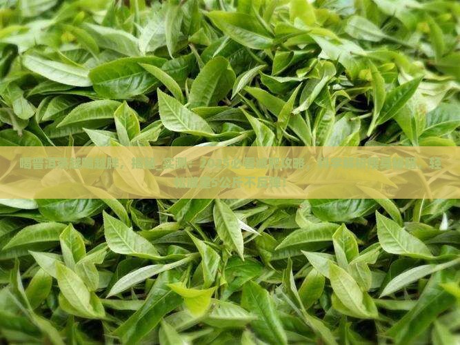喝普洱茶越喝越胖