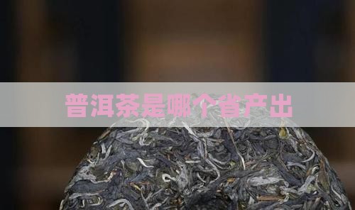 普洱茶是哪个省产出