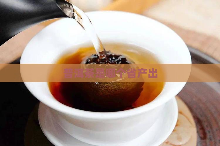 普洱茶是哪个省产出
