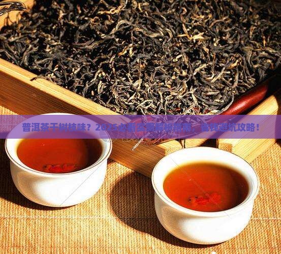 普洱茶有干树枝味