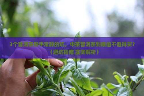 中茶普洱茶咋样