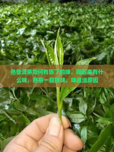 熟普洱茶如何有陈了的味