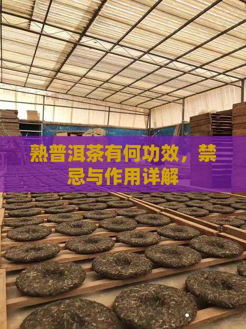 熟普洱茶有何功效