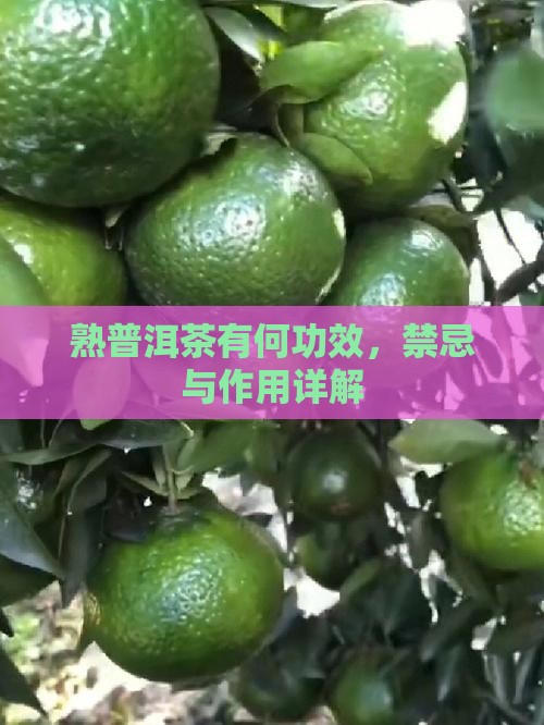 熟普洱茶有何功效