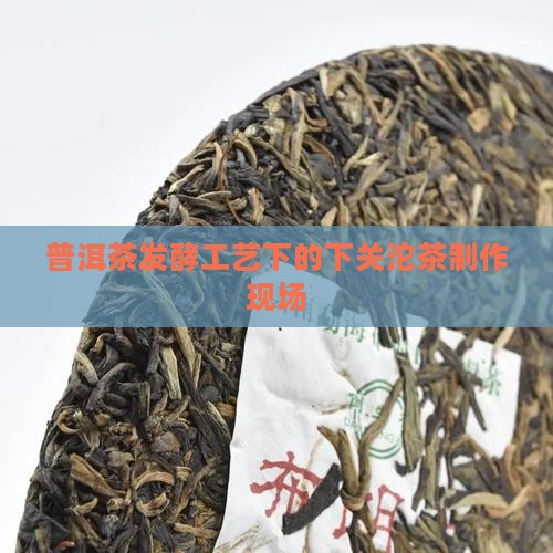 下关普洱茶加工现场
