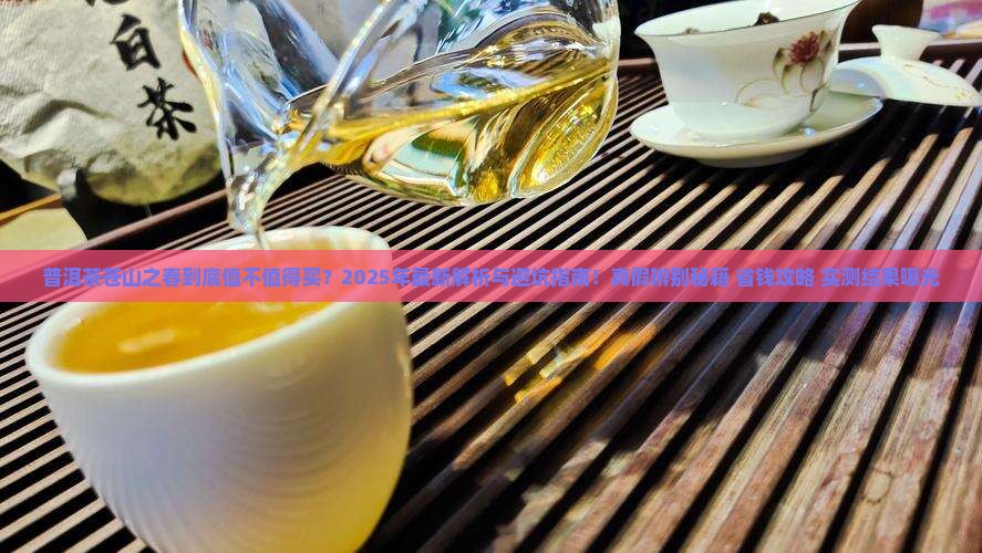 普洱茶苍山之春