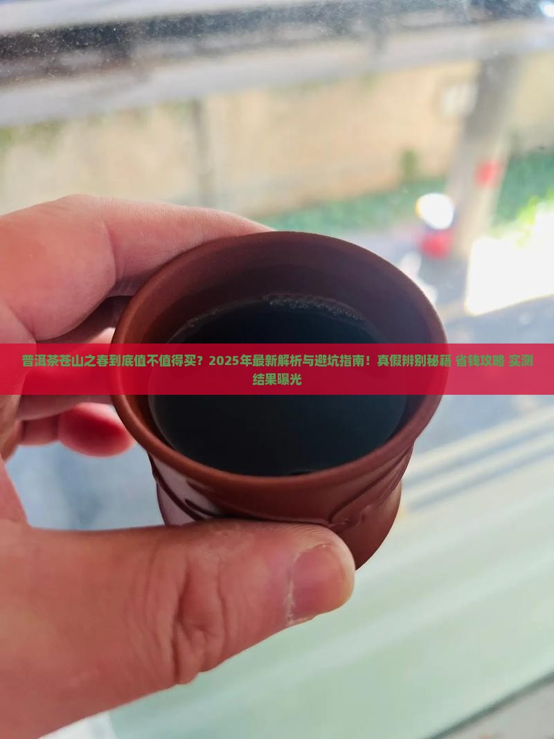 普洱茶苍山之春