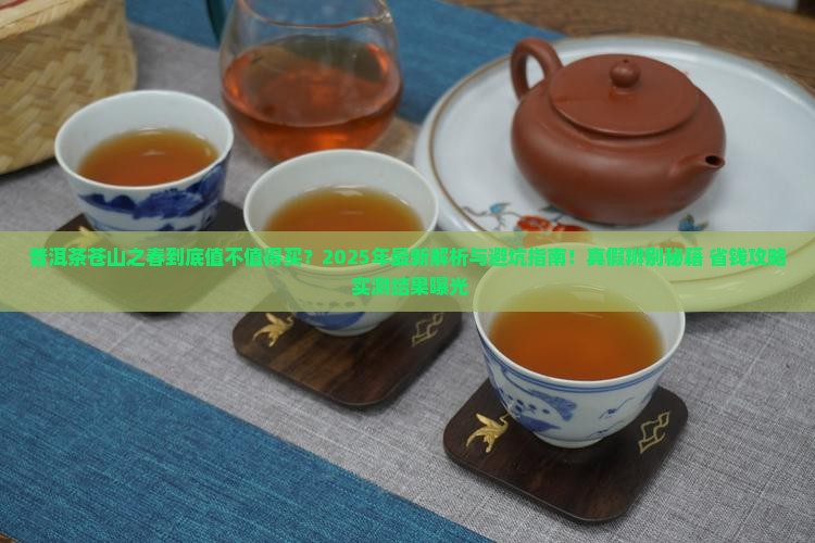 普洱茶苍山之春