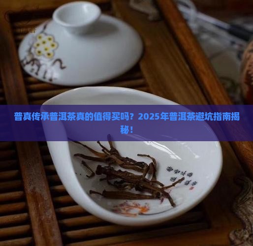 普真传承普洱茶