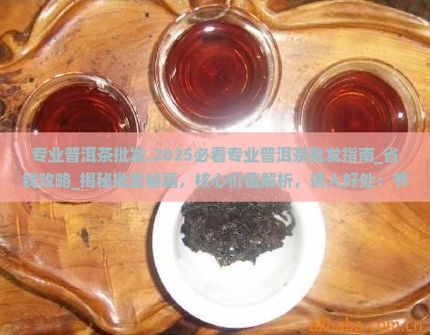 专业普洱茶批发