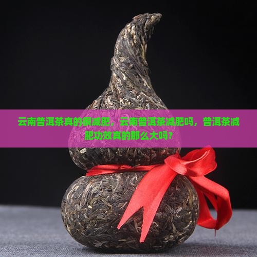 云南普洱茶真的很减肥