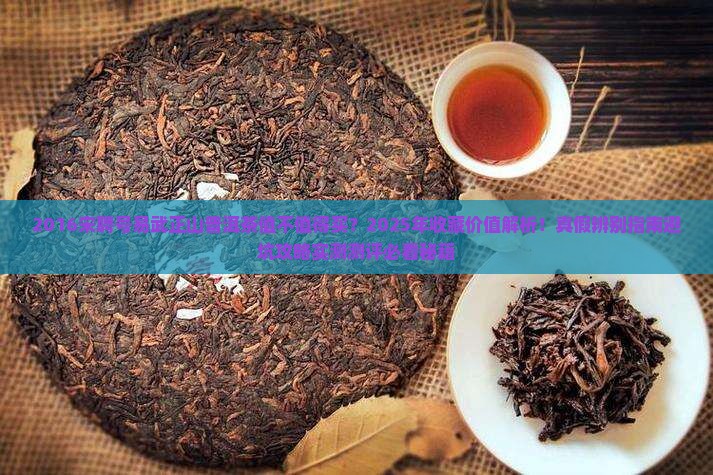 2016宋聘号易武正山普洱茶